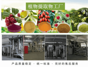 上海爱普香精产品列表